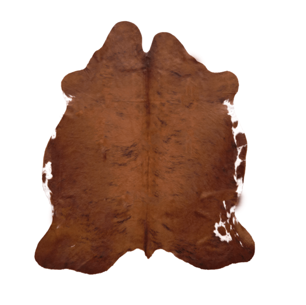Exotic Cow Hides