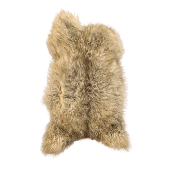 SHEEP Hides #2